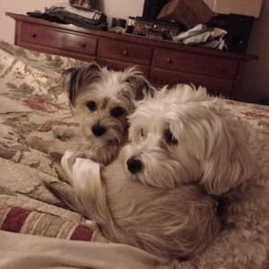 Meet your Posher, Trudy